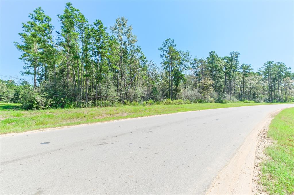 10711 Ruger Road, Willis, Texas image 3