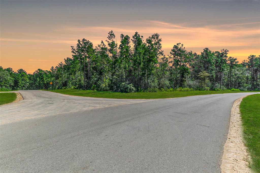10711 Ruger Road, Willis, Texas image 2