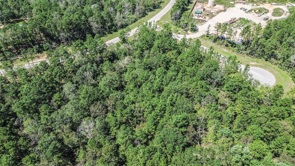 10711 Ruger Road, Willis, Texas image 11