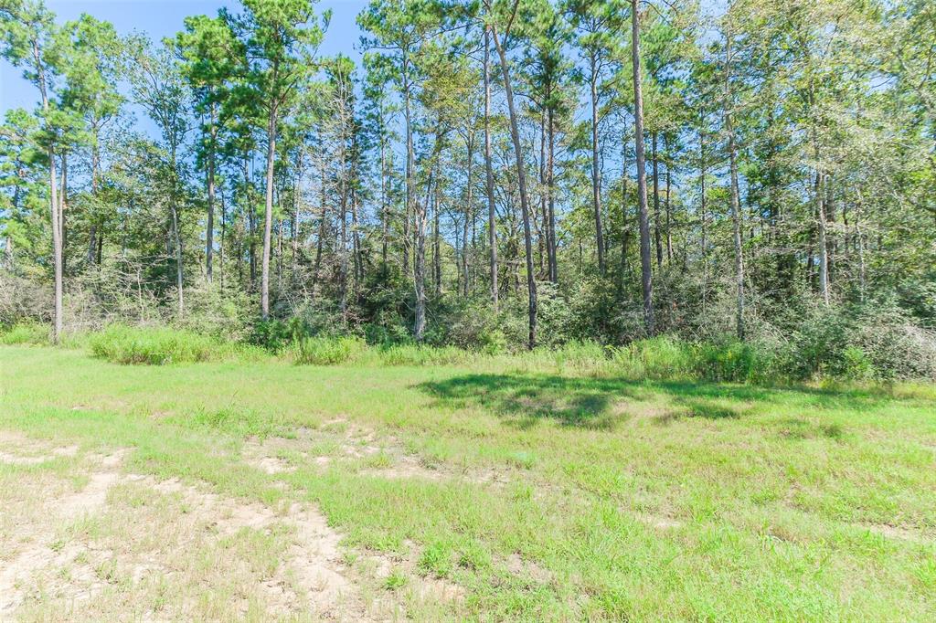 10711 Ruger Road, Willis, Texas image 4