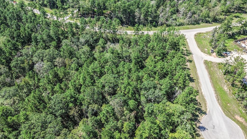 10711 Ruger Road, Willis, Texas image 10
