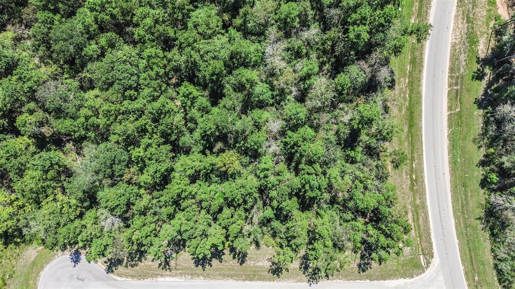 10711 Ruger Road, Willis, Texas image 1