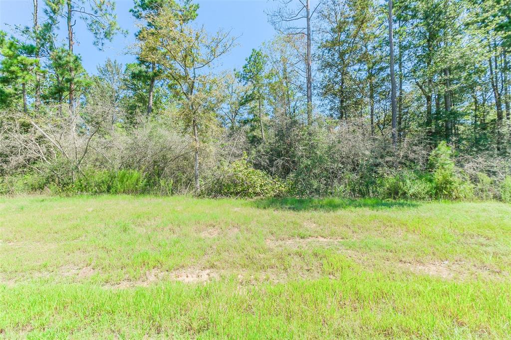 10711 Ruger Road, Willis, Texas image 13