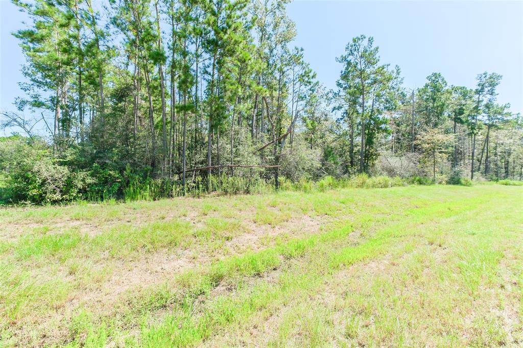 10711 Ruger Road, Willis, Texas image 14