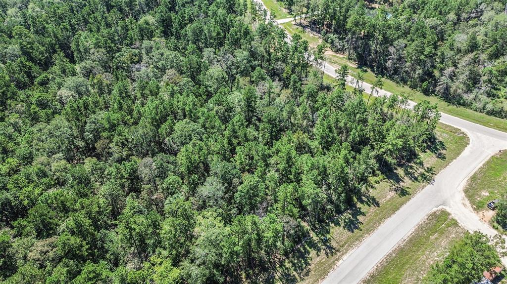 10711 Ruger Road, Willis, Texas image 9