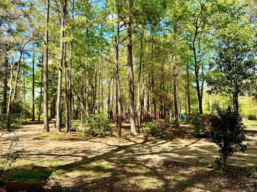 179 County Road 4587, Spurger, Texas image 17