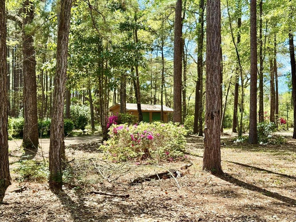 179 County Road 4587, Spurger, Texas image 13