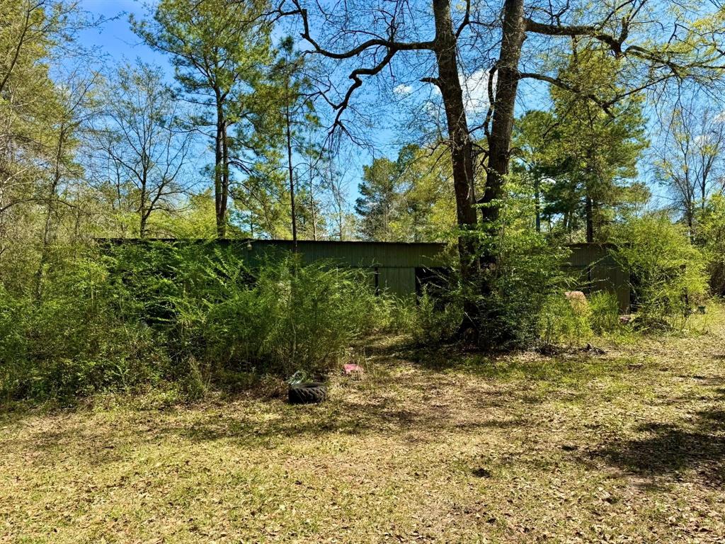 179 County Road 4587, Spurger, Texas image 22