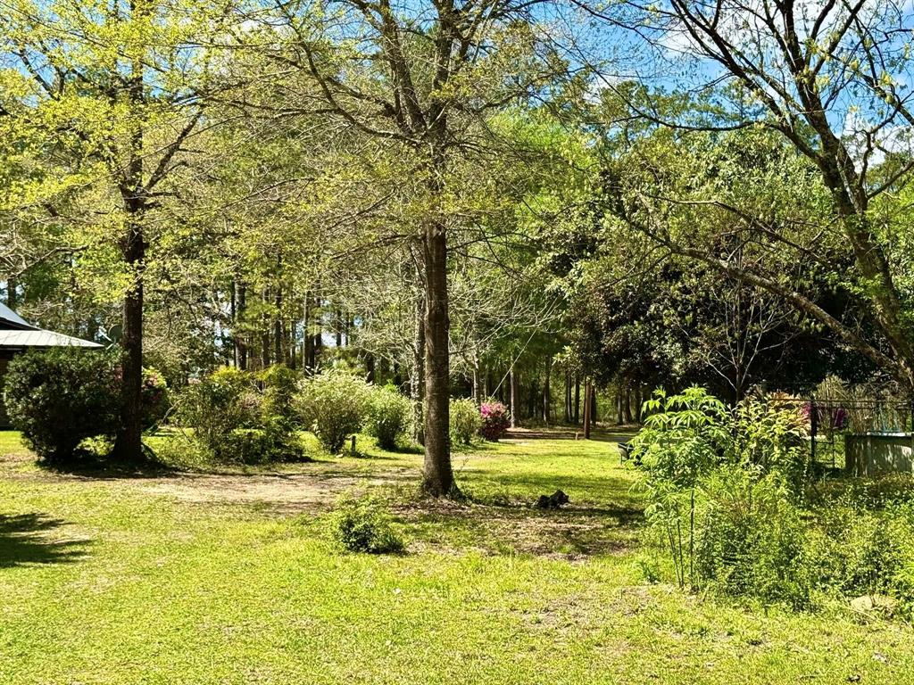 179 County Road 4587, Spurger, Texas image 21