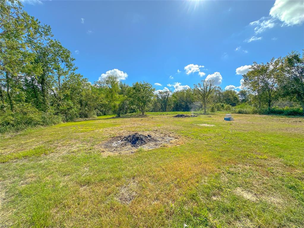 17109 Mclean Road, Pearland, Texas image 28