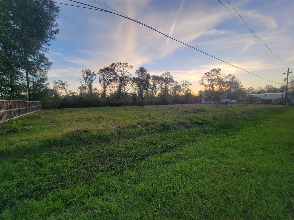 TBD Coach Light Ln, New Caney, Texas image 8
