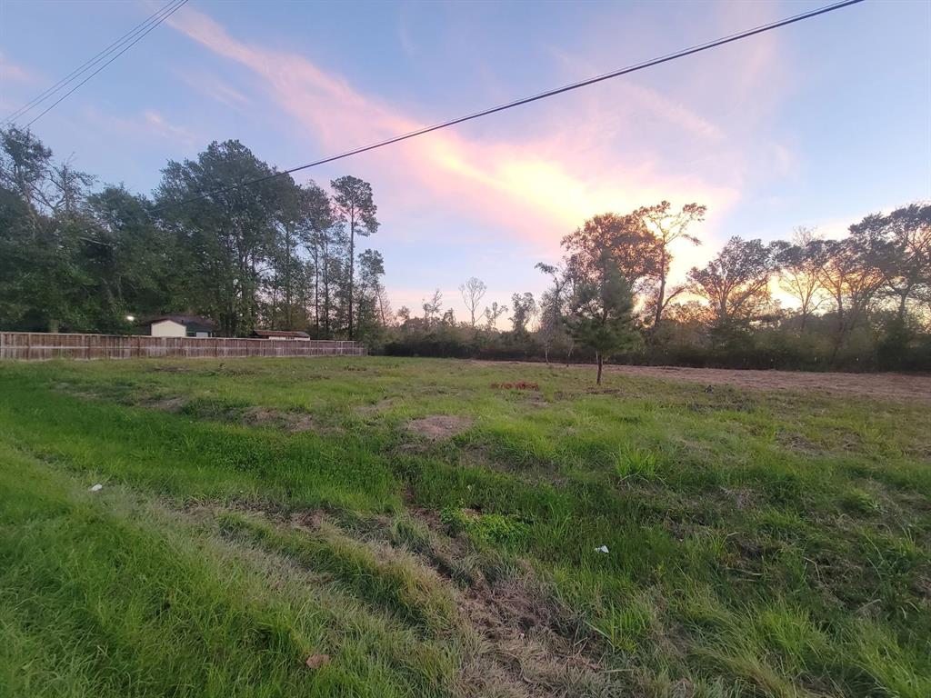 TBD Coach Light Ln, New Caney, Texas image 9