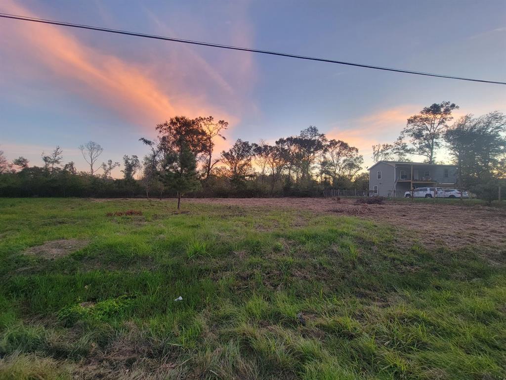 TBD Coach Light Ln, New Caney, Texas image 6