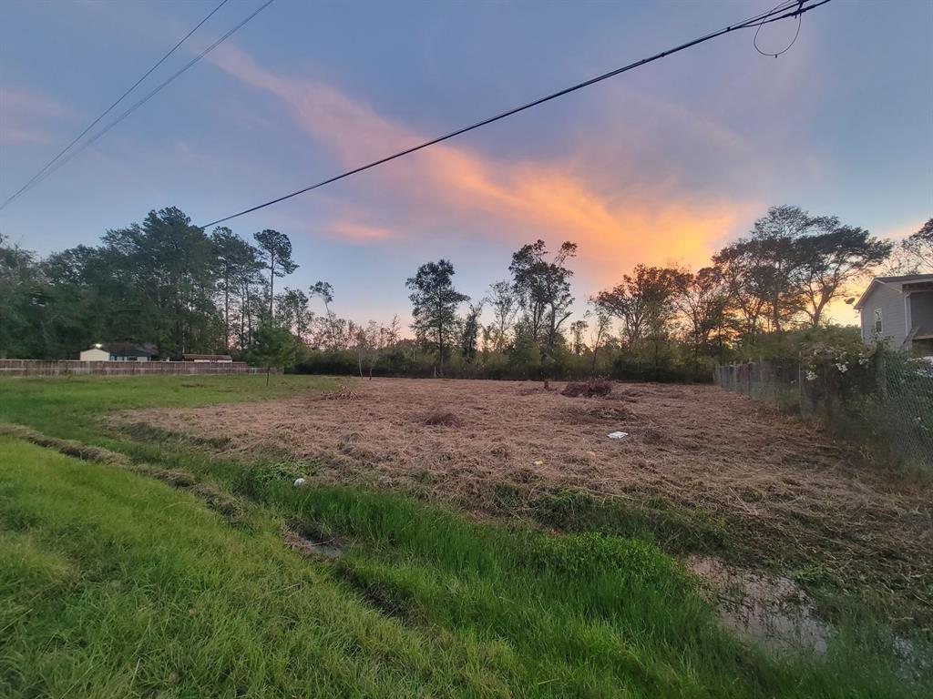 TBD Coach Light Ln, New Caney, Texas image 5