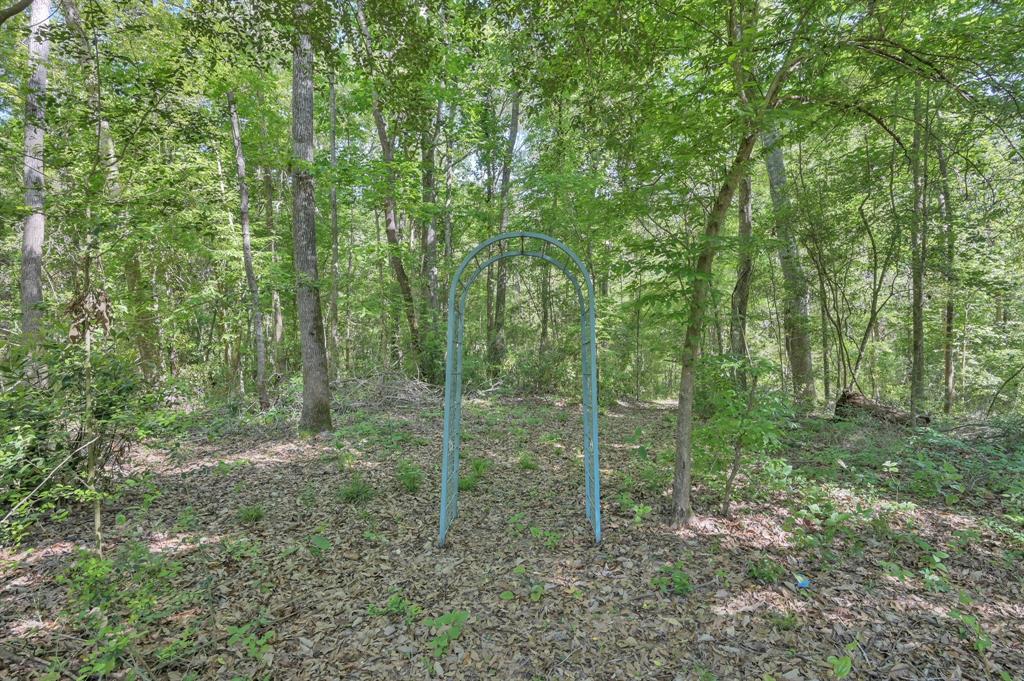 17135 Peach Creek Drive, Conroe, Texas image 24