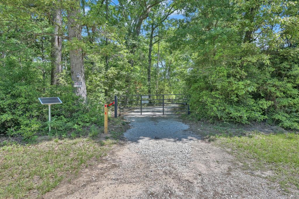 17135 Peach Creek Drive, Conroe, Texas image 1