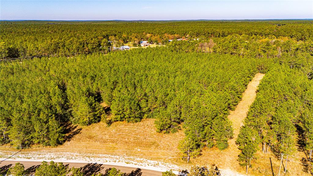 021 Magnolia Ranch Road, Onalaska, Texas image 8