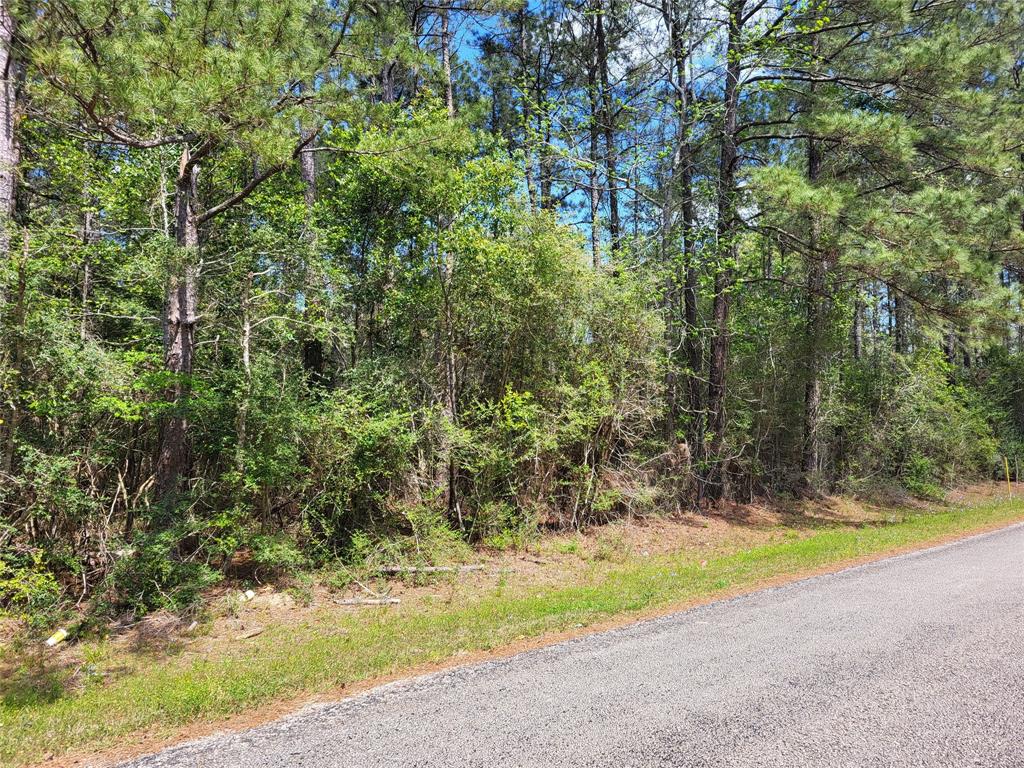 TBD S Sierra Street, Coldspring, Texas image 1