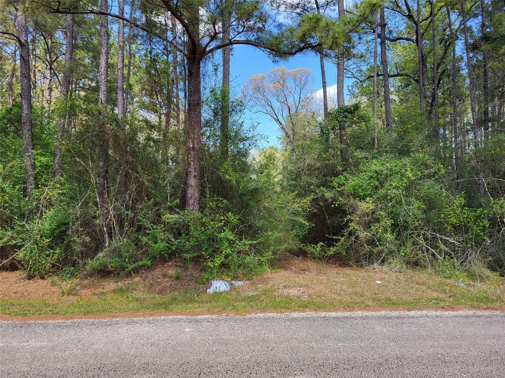 TBD S Sierra Street, Coldspring, Texas image 2
