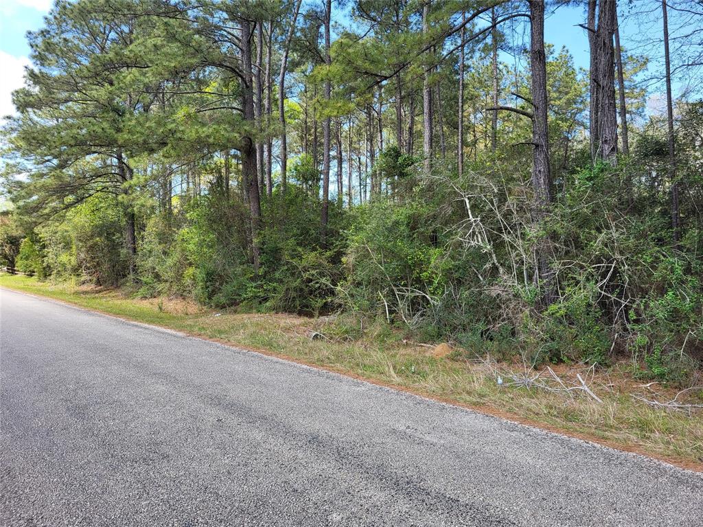 TBD S Sierra Street, Coldspring, Texas image 3