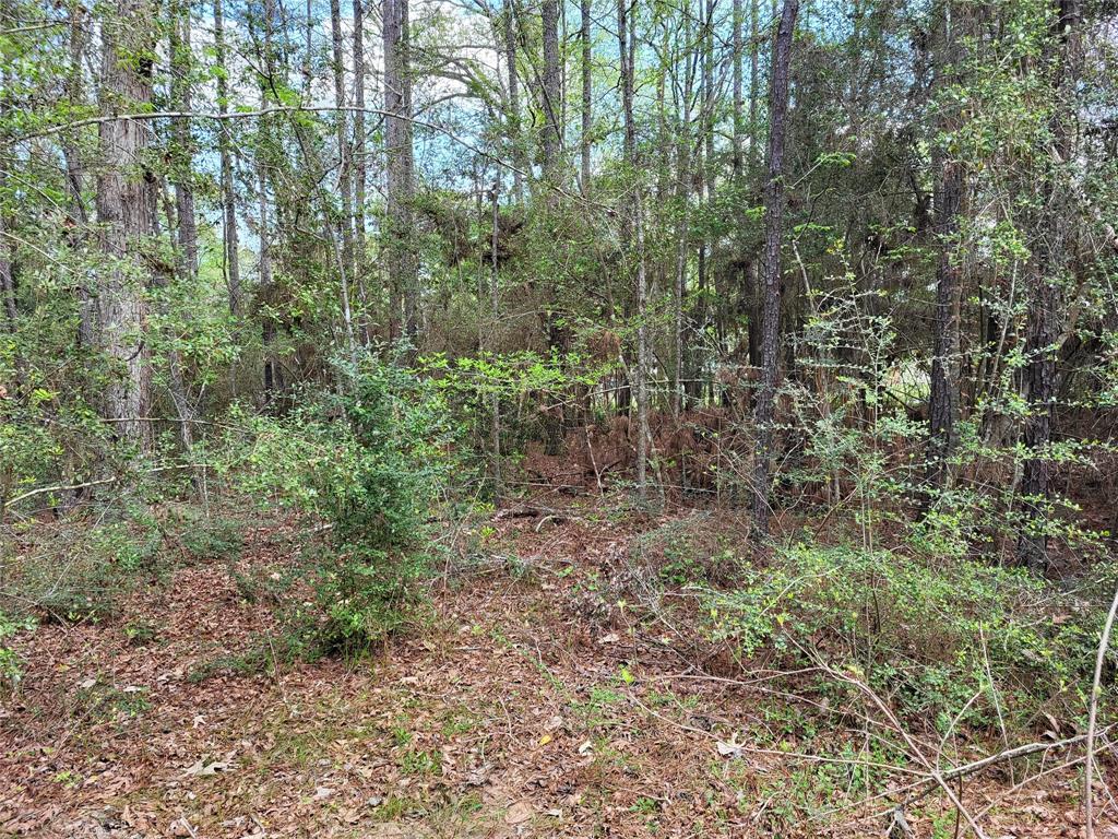 TBD S Sierra Street, Coldspring, Texas image 6