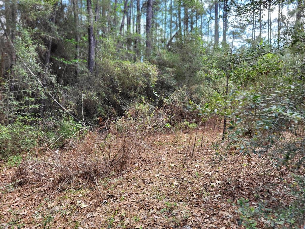 TBD S Sierra Street, Coldspring, Texas image 8