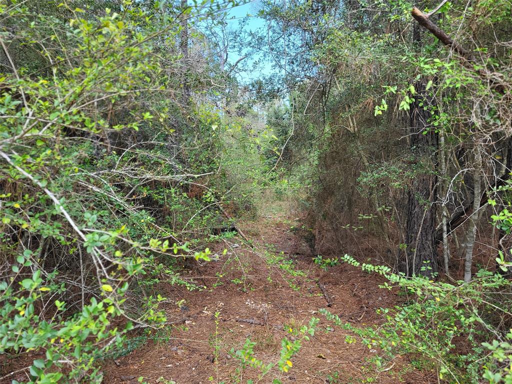 TBD S Sierra Street, Coldspring, Texas image 4