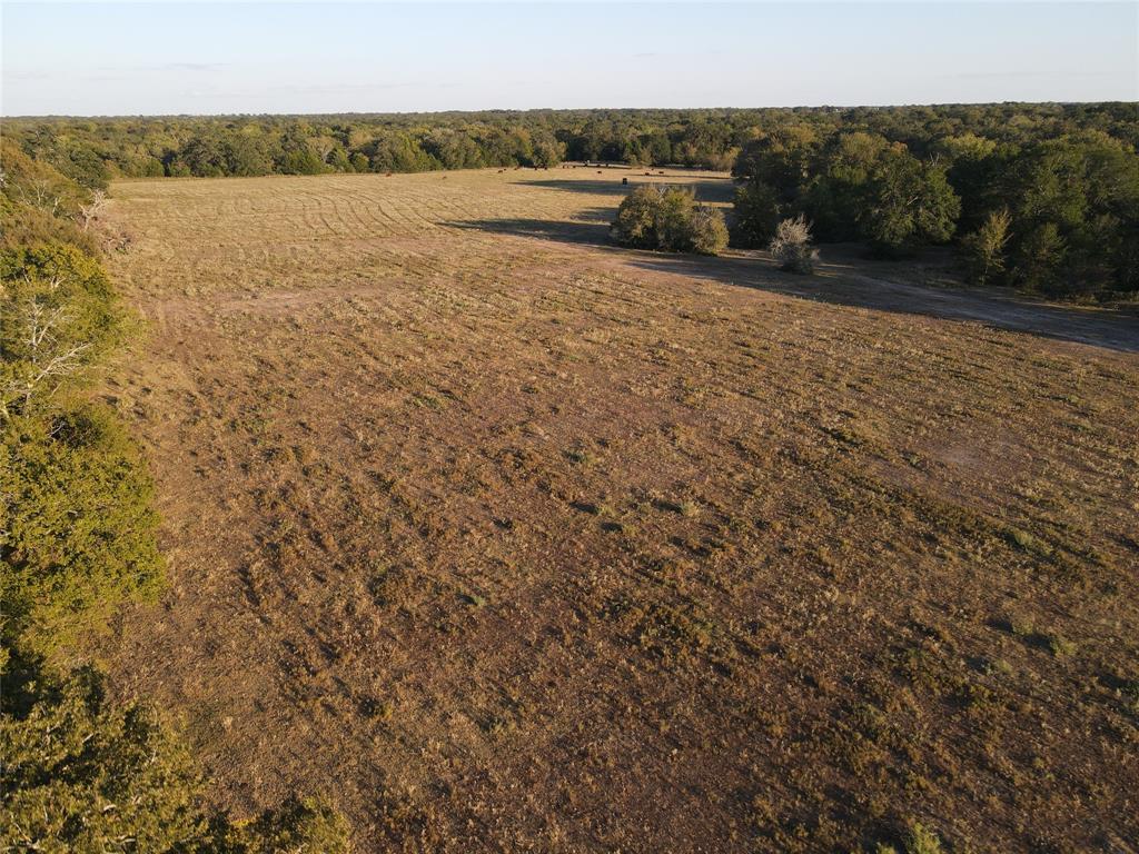 15641 Highway 21, North Zulch, Texas image 6