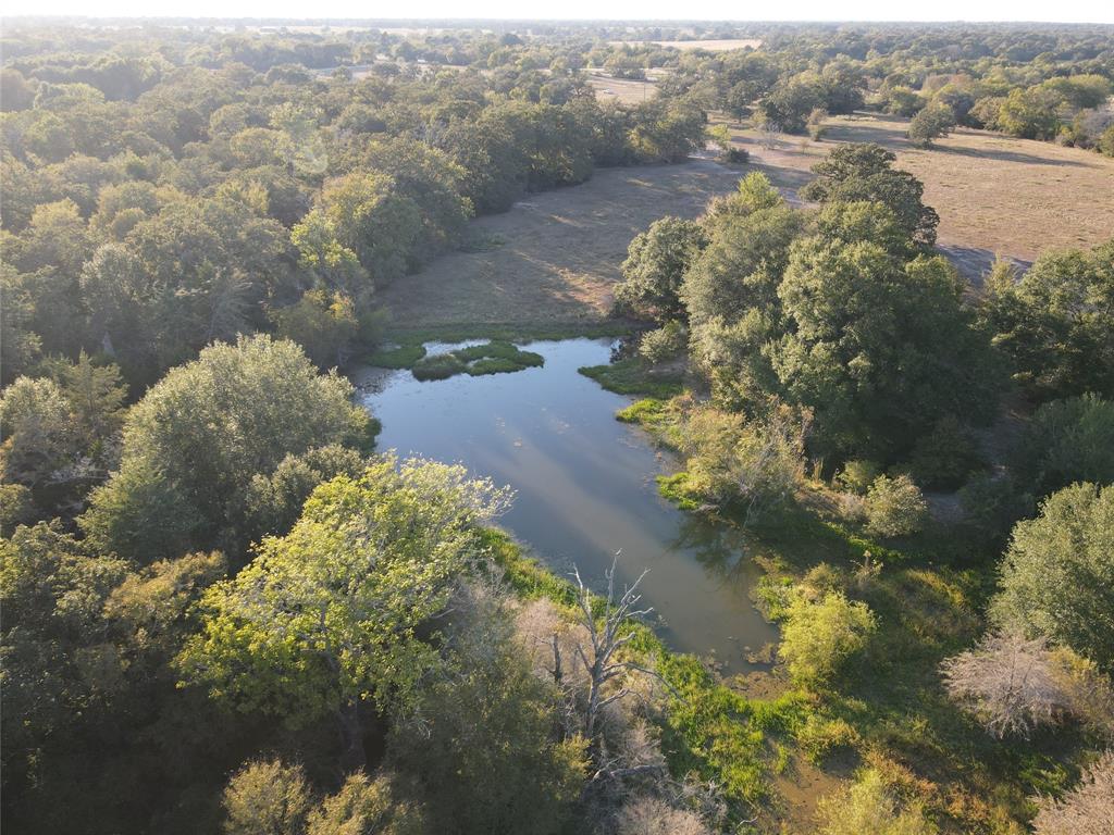 15641 Highway 21, North Zulch, Texas image 23