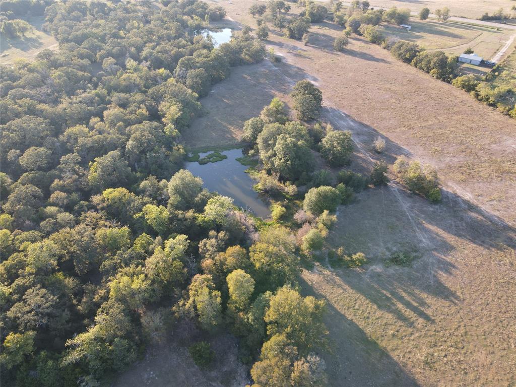 15641 Highway 21, North Zulch, Texas image 20