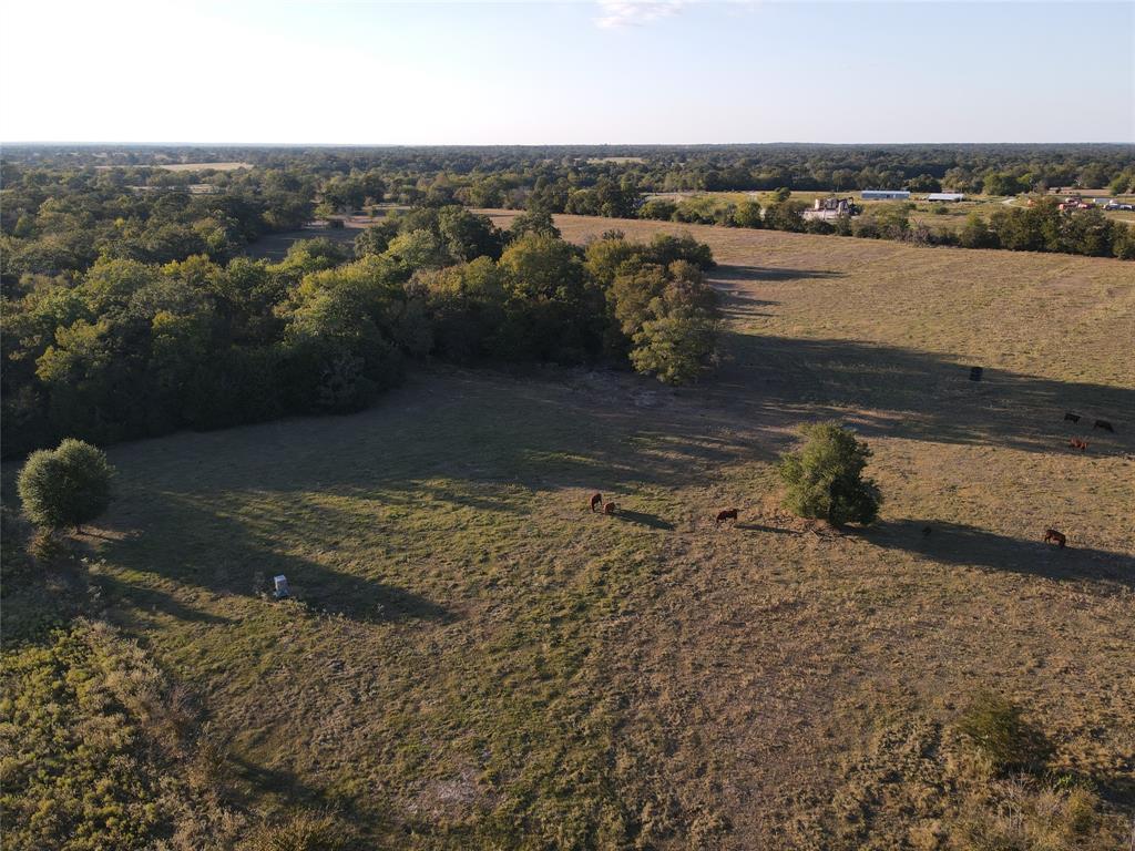 15641 Highway 21, North Zulch, Texas image 25