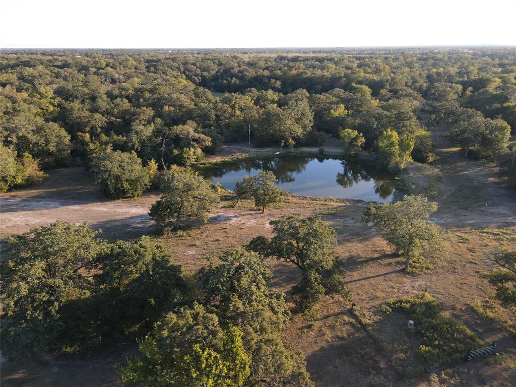 15641 Highway 21, North Zulch, Texas image 10