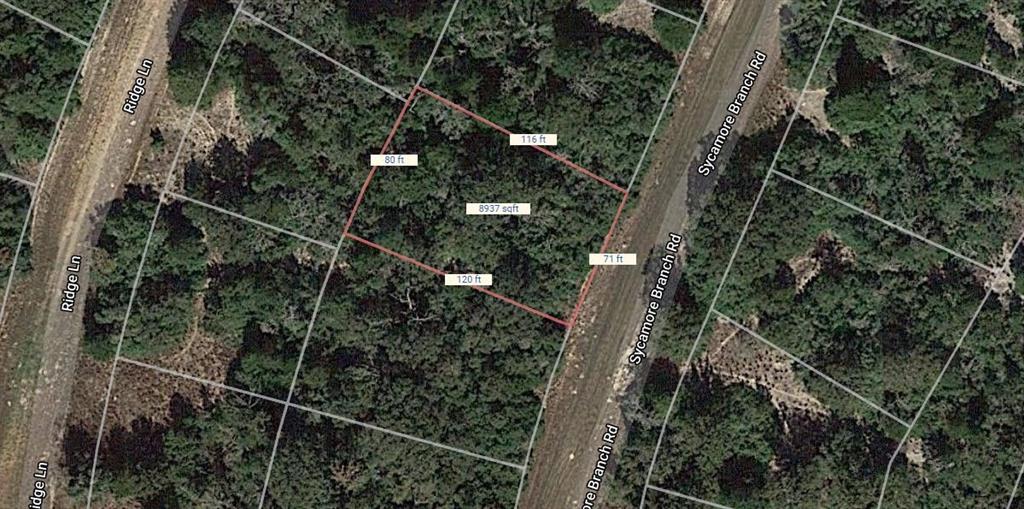 Lot 3 Sycamore Branch Road, Normangee, Texas image 2