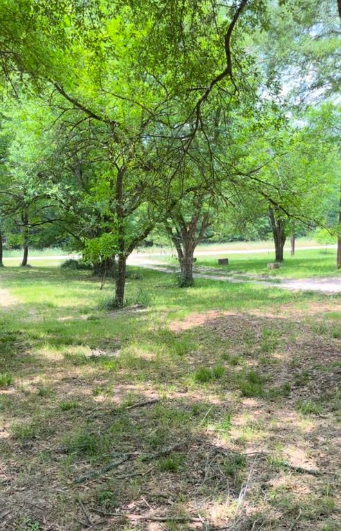 44 Caney Creek Drive, Huntsville, Texas image 6