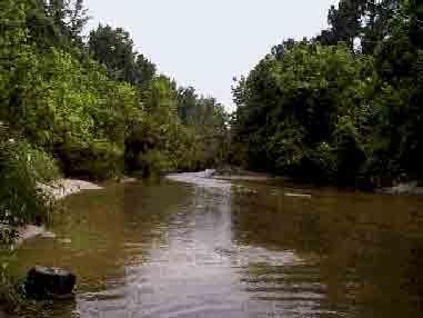44 Caney Creek Drive, Huntsville, Texas image 5