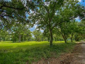 Texasgulf Avenue, Boling, Texas image 5