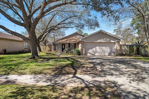22303 Acorn Chase Drive Spring TX 77389