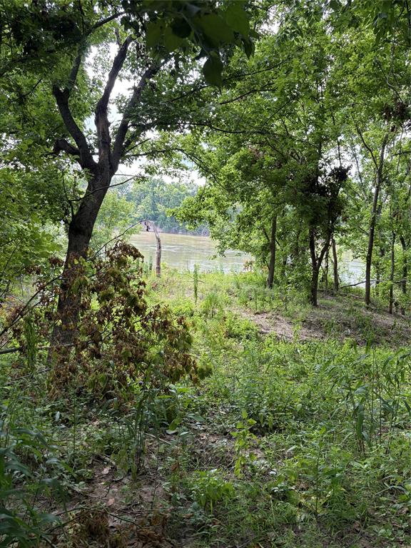 TBD River Road, Livingston, Texas image 5
