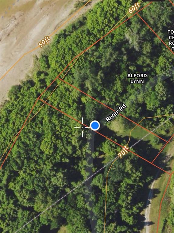 TBD River Road, Livingston, Texas image 6