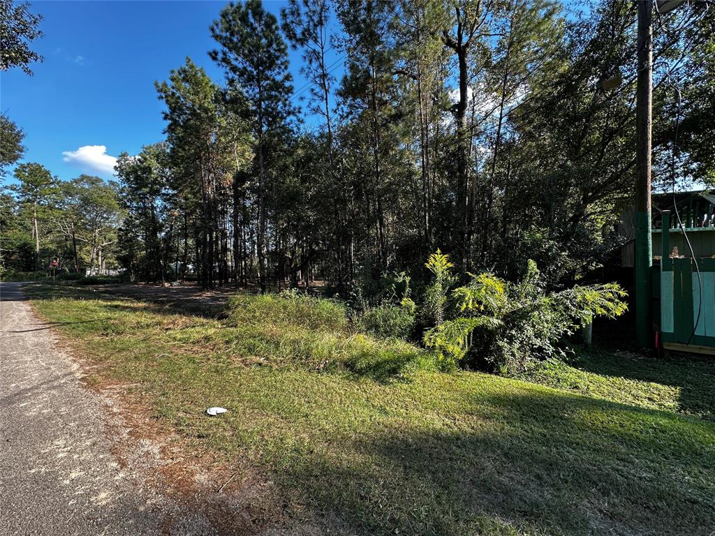 27086 Royal Coach Lane, New Caney, Texas image 1