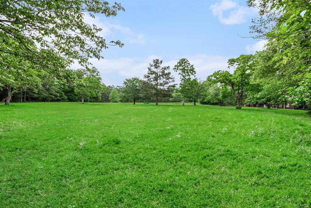 189 Lake Livingston Boulevard, Livingston, Texas image 21