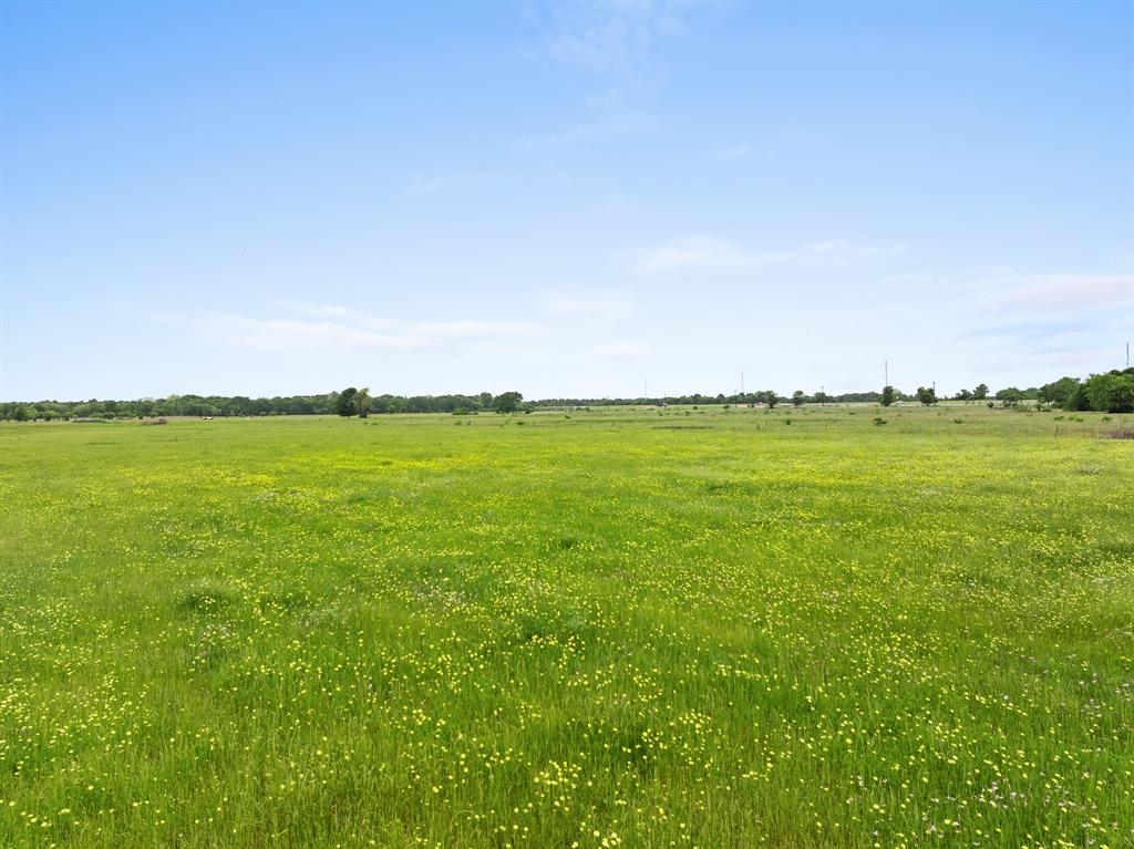 10825 W State Highway 21, Bryan, Texas image 11