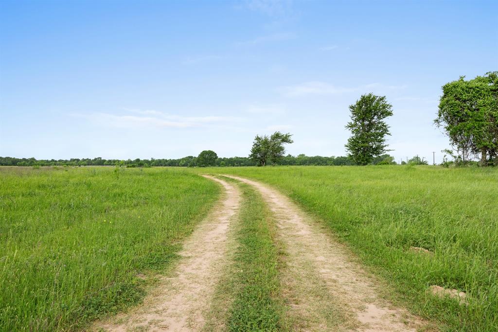 10825 W State Highway 21, Bryan, Texas image 12