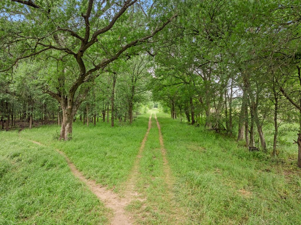 10825 W State Highway 21, Bryan, Texas image 3