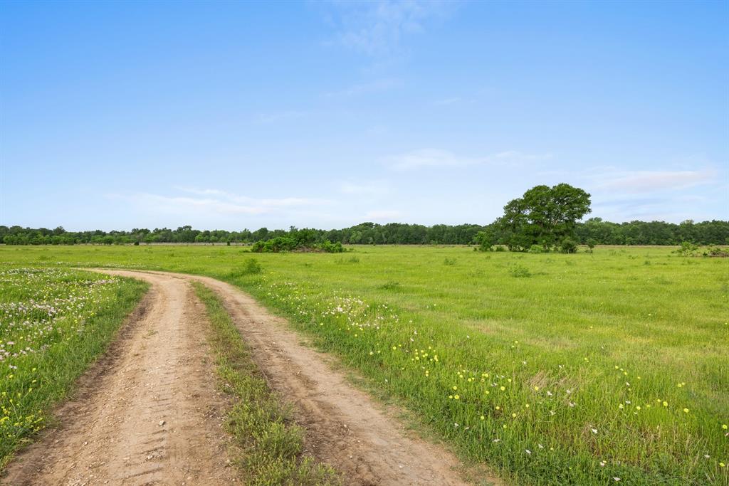 10825 W State Highway 21, Bryan, Texas image 6
