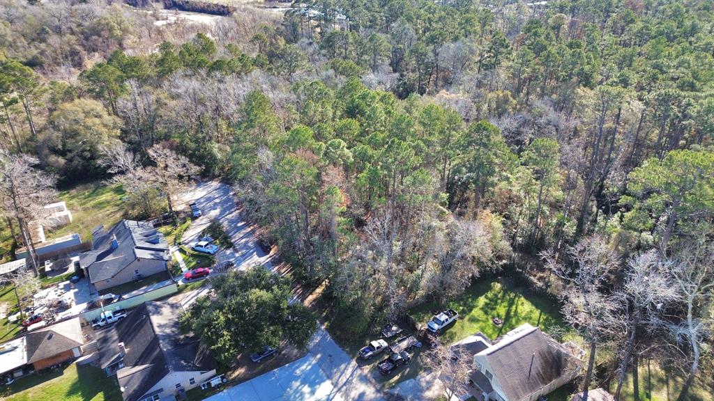 000 River Ridge, Conroe, Texas image 34