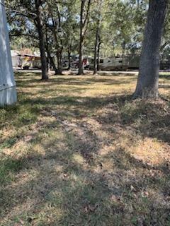 20902 Linkwood Lane Ln, Porter, Texas image 7