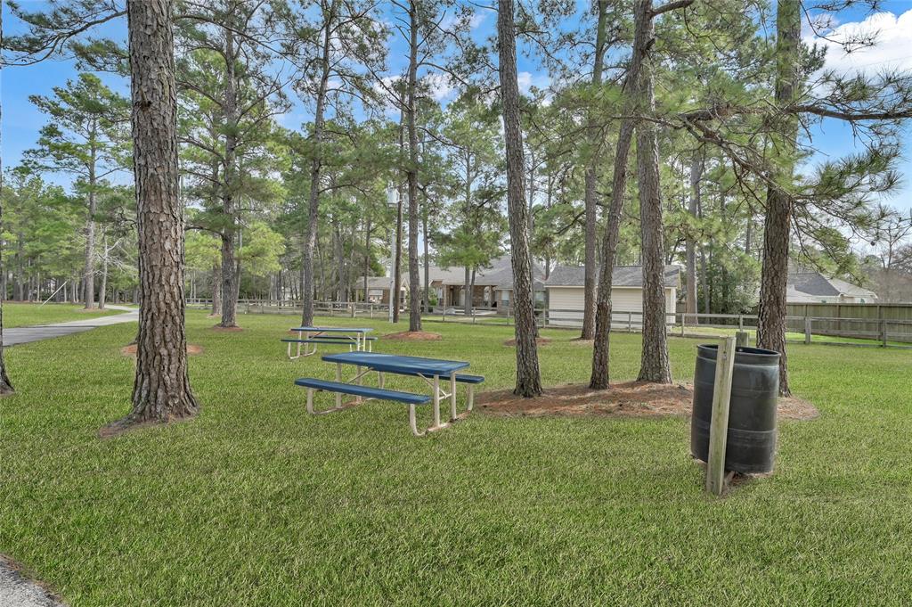 12511 Mustang Court, Magnolia, Texas image 39