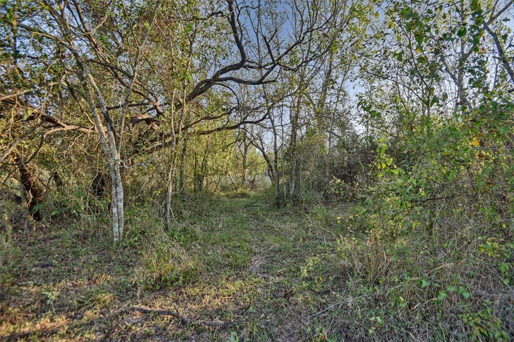 Lot 4 Tulane Drive, Lufkin, Texas image 9