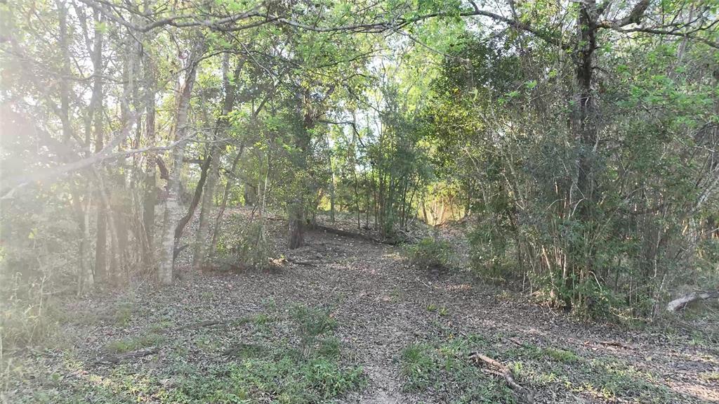 Lot 4 Tulane Drive, Lufkin, Texas image 20